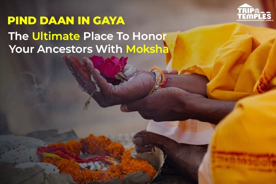 Pind Daan Pooja in Gaya: Know Rituals, Significance, Pooja Vidhi, and More Pind Daan Pooja in Gaya: Know Rituals, Significance, Pooja Vidhi, and More